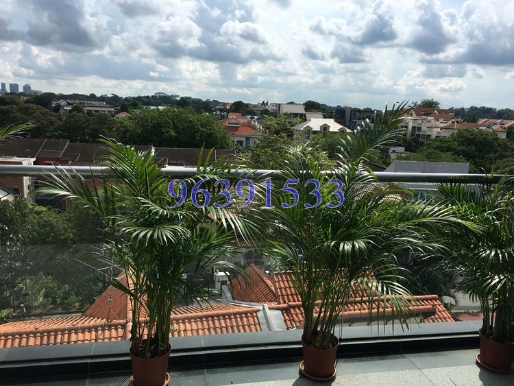 Eng Aun Park (D11), Semi-Detached #121703292